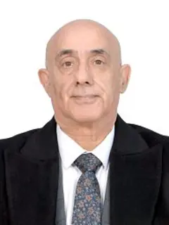 ثامر محمد جميل مهدي العنبكي