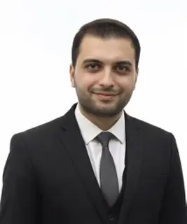 ALI S ABED AL-SAILAWI